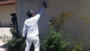 affinity painting house painting